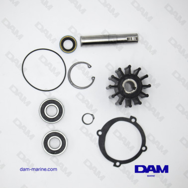 KIT MAJEUR POMPE SHERWOOD P102/5/9