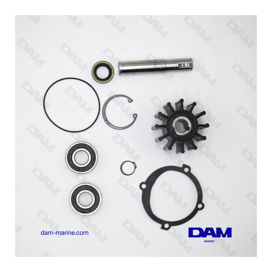 KIT MAJEUR POMPE SHERWOOD P102/5/9