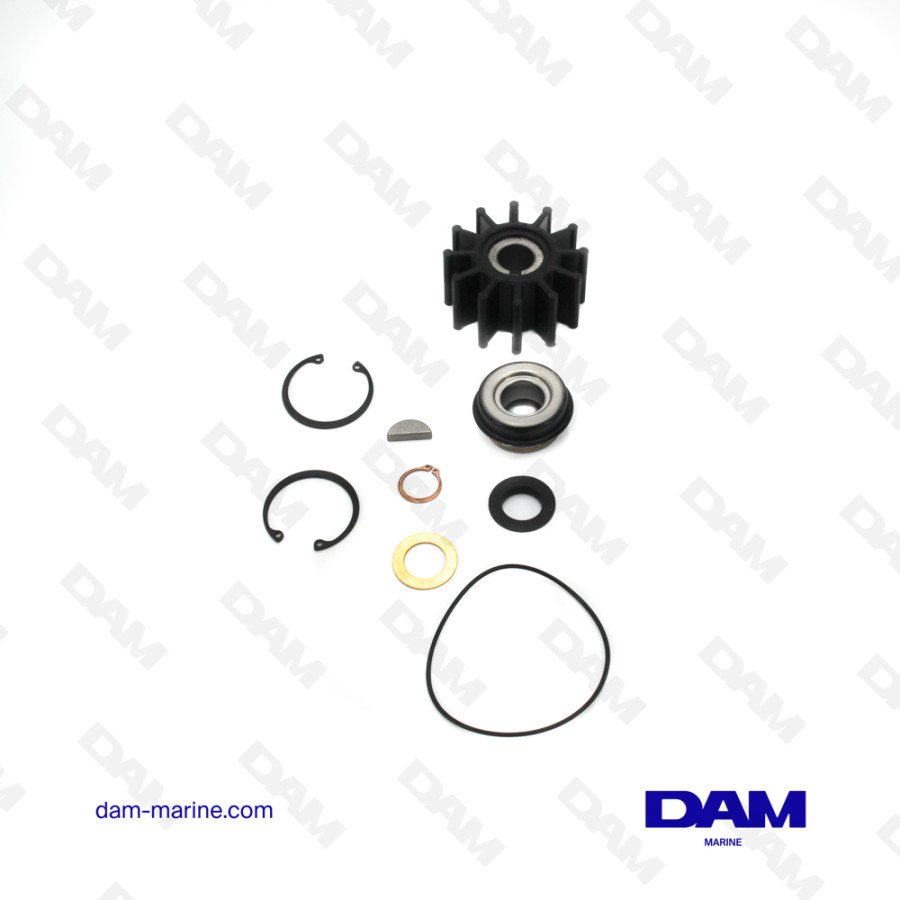 KIT MINEUR POMPE SHERWOOD G21-G9901/2/3