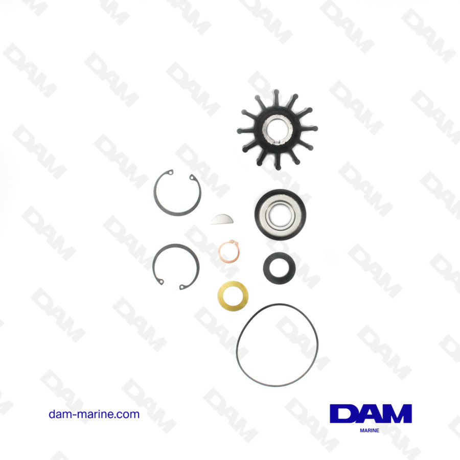 KIT POMPA PER MINERAZIONE SHERWOOD G21-G9901/2/3