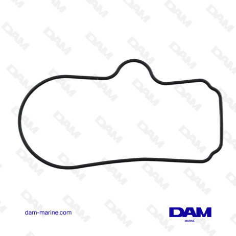 FSM MERCURIO O-RING