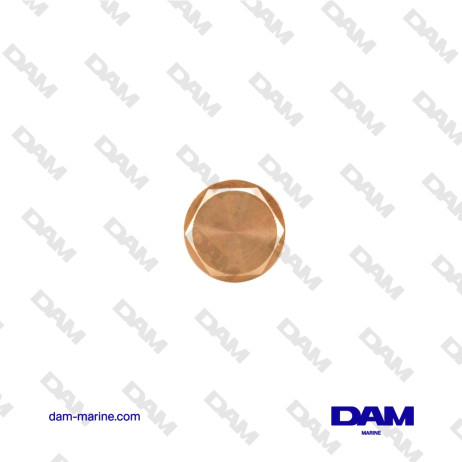 NANNI EXCHANGER ANODE - 970494635P*