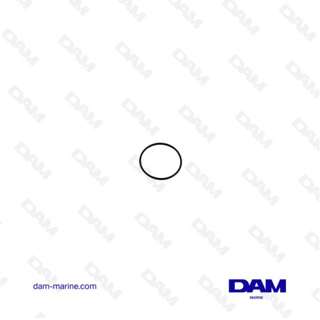 HONDA FUEL O-RING