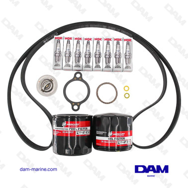 SERVICE KIT 300H V8MPI +...