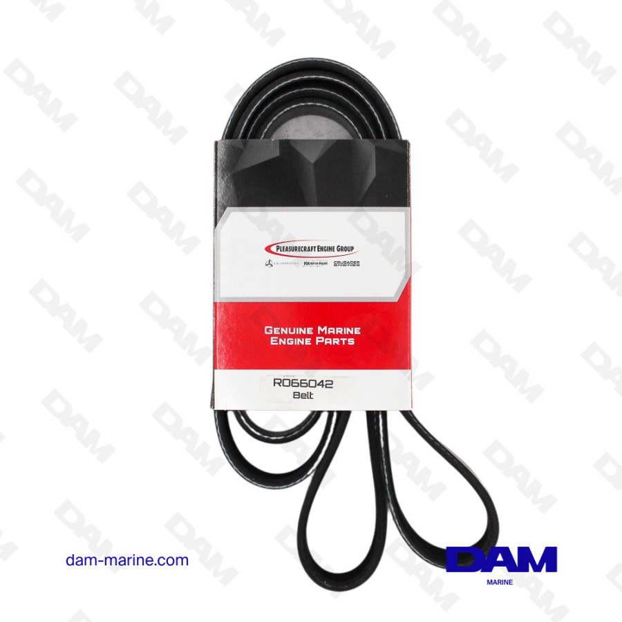 COURROIE SERPENTINE PCM 6.2L DI 2020