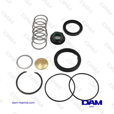VELVET V-DRIVE 71-72 INVERTER SEAL KIT