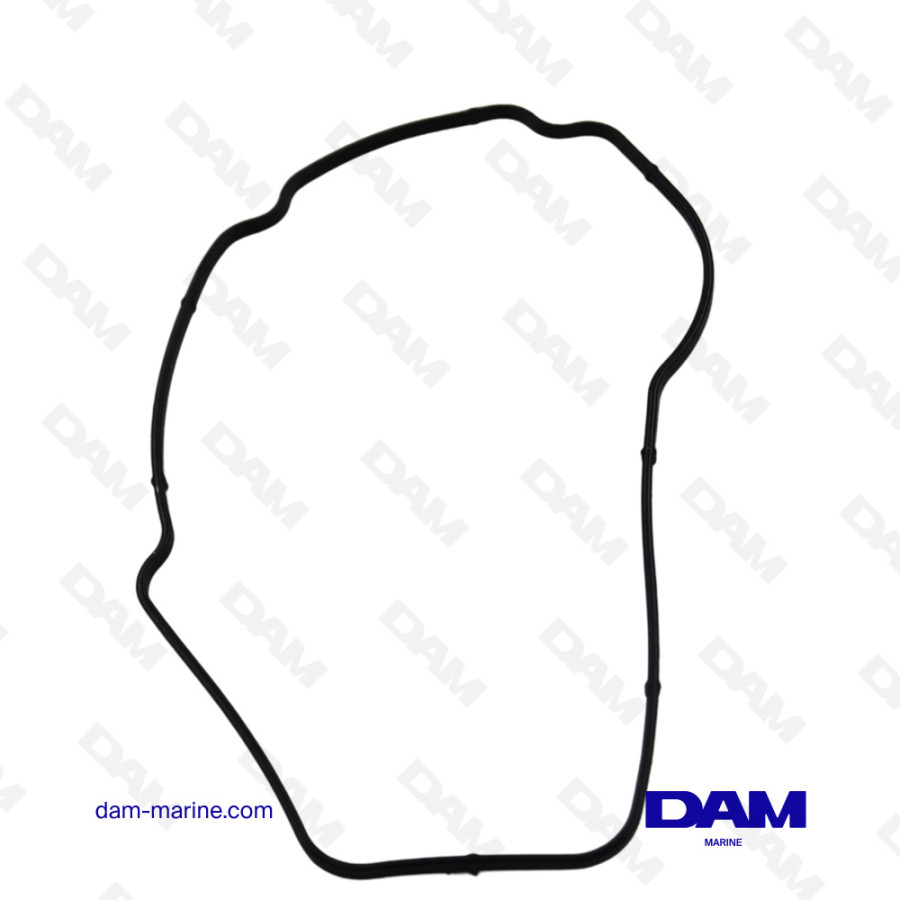 MERCURY PETROL DEGASSER GASKET - YAMAHA