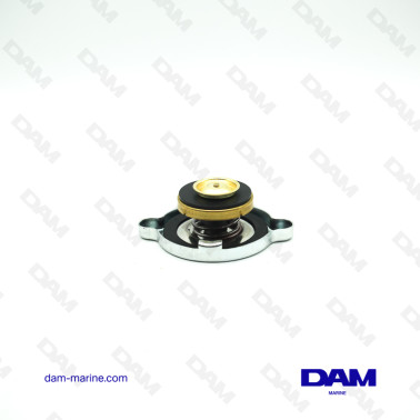 BOUCHON ECHANGEUR VOLVO - 27MM - 7LBS