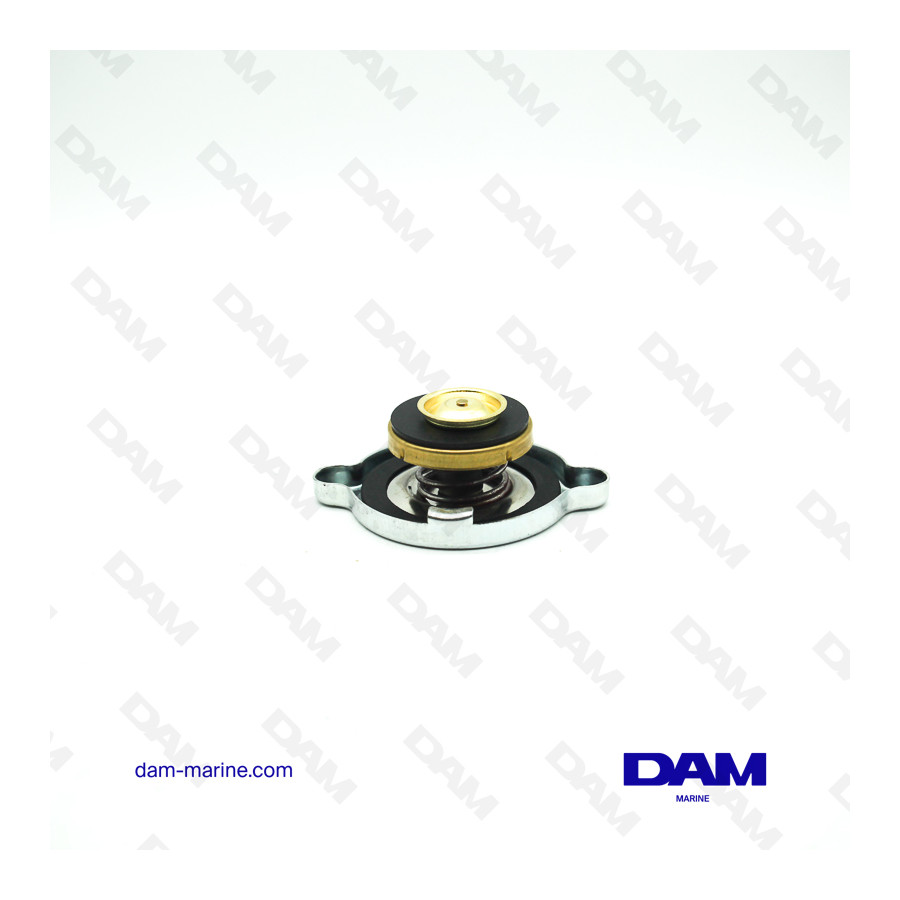 BOUCHON ECHANGEUR VOLVO 13LBS - 3581770