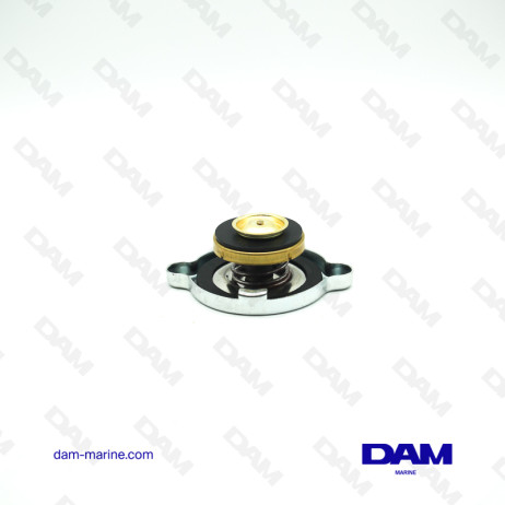 BOUCHON ECHANGEUR VOLVO - 32MM - 7LBS