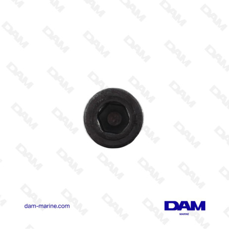 ANODO TESTATA MOTORE YAMAHA 75-250HP - ZINCO