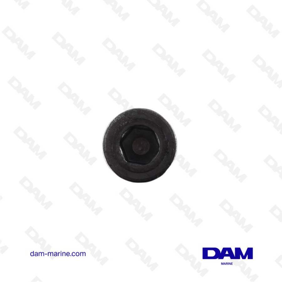 Ánodo de zinc para cabezal de potencia YAMAHA 75-250 HP