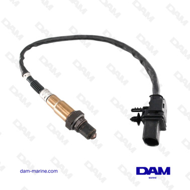 6B PRE-CATALYSIS OXYGEN PROBE