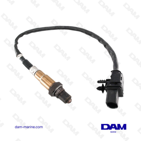 6B PRE-CATALYSIS OXYGEN PROBE