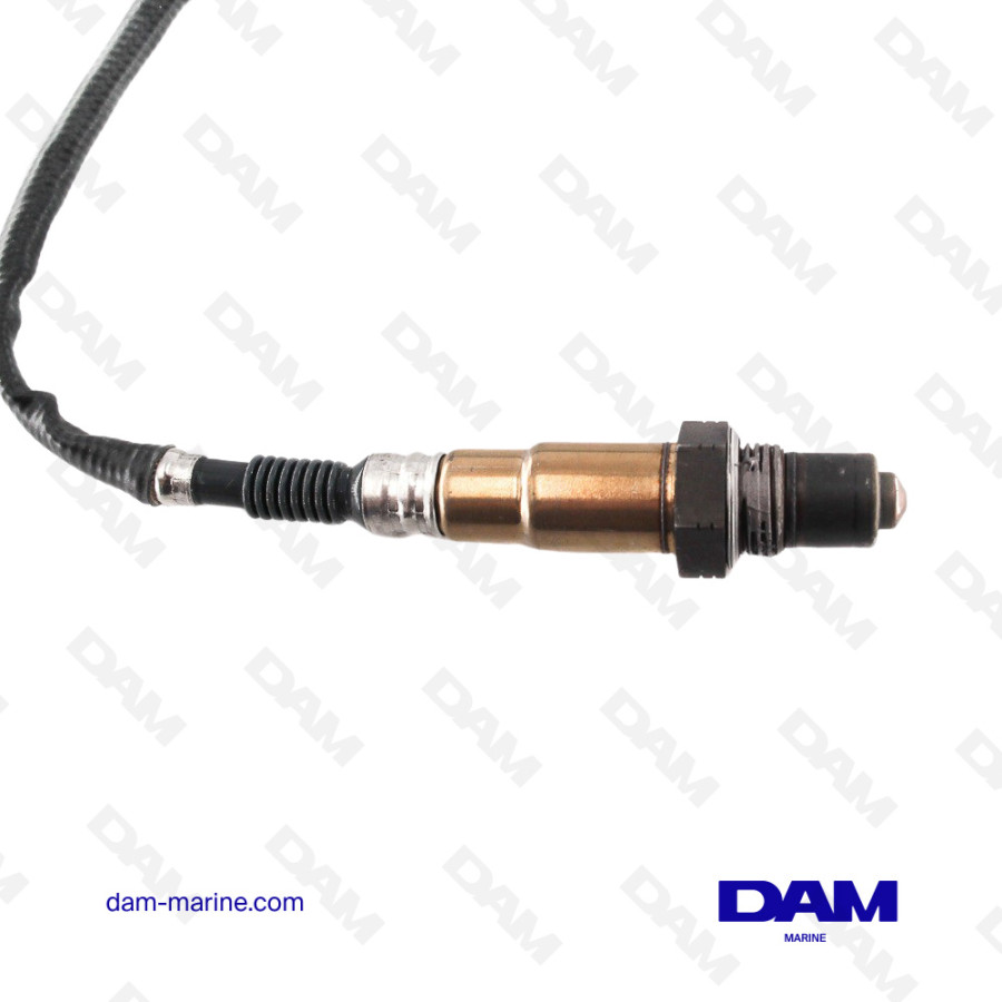 6B PRE-CATALYSIS OXYGEN PROBE