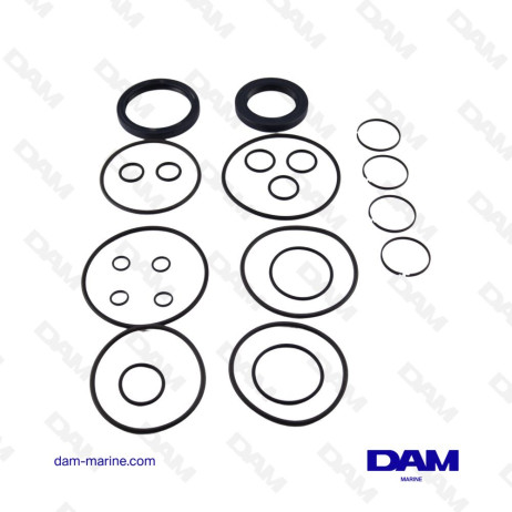 ZF IRM220 - 220A INVERTER SEAL KIT