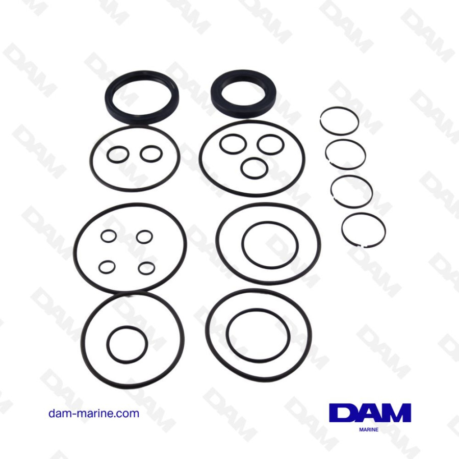 ZF IRM220 - 220A INVERTER SEAL KIT