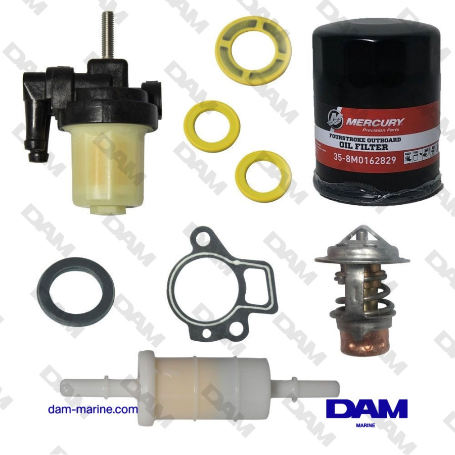 MERCURY EFI 40-60HP MAINTENANCE KIT - 100HRS