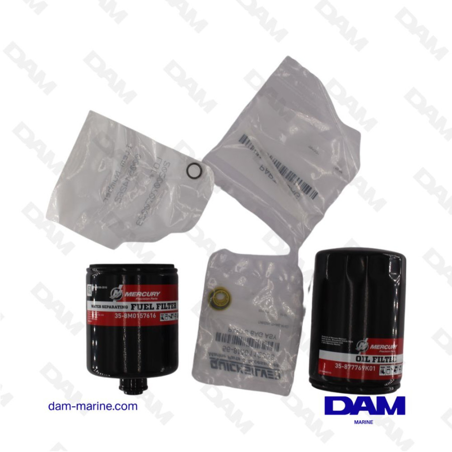 KIT ENTRETIEN MERCURY V6 3.4L - V8 4.6L - 100HRS