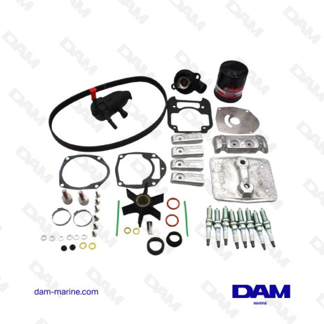 KIT DE MANTENIMIENTO MERCURY V8 4.6L - 300 HORAS
