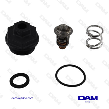 KIT THERMOSTAT JONHSON -...