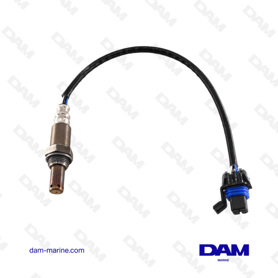 CATALYTIC OXYGEN PROBE