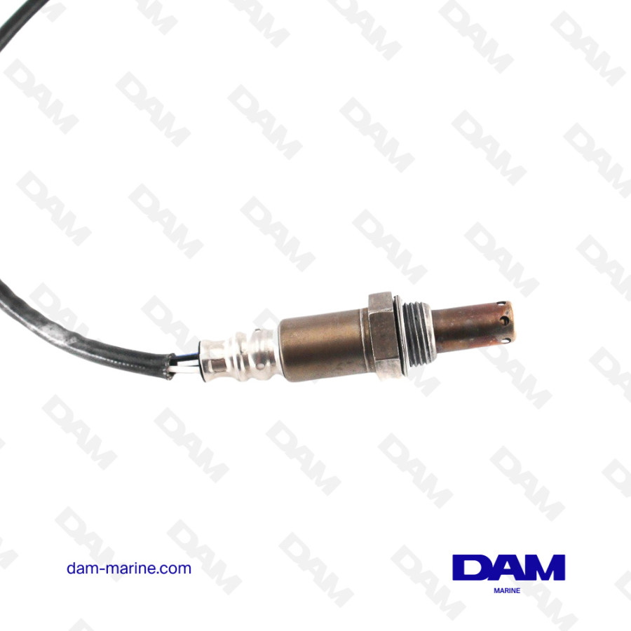 CATALYTIC OXYGEN PROBE