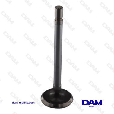 VOLVO 2000 SERIES INTAKE VALVE