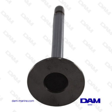 VOLVO 2000 SERIES INTAKE VALVE