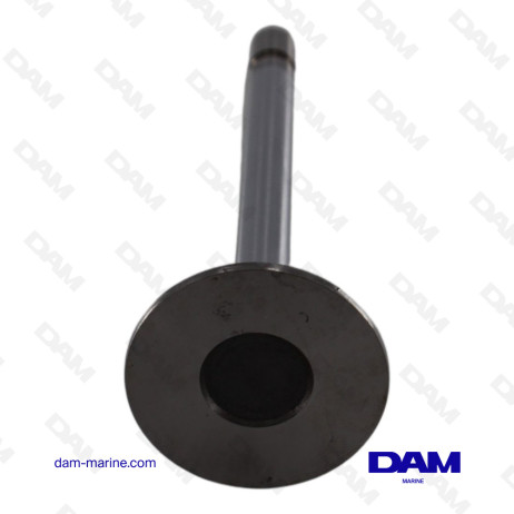 VOLVO 2000 SERIES INTAKE VALVE