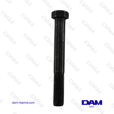 VOLVO SCREW - 955701