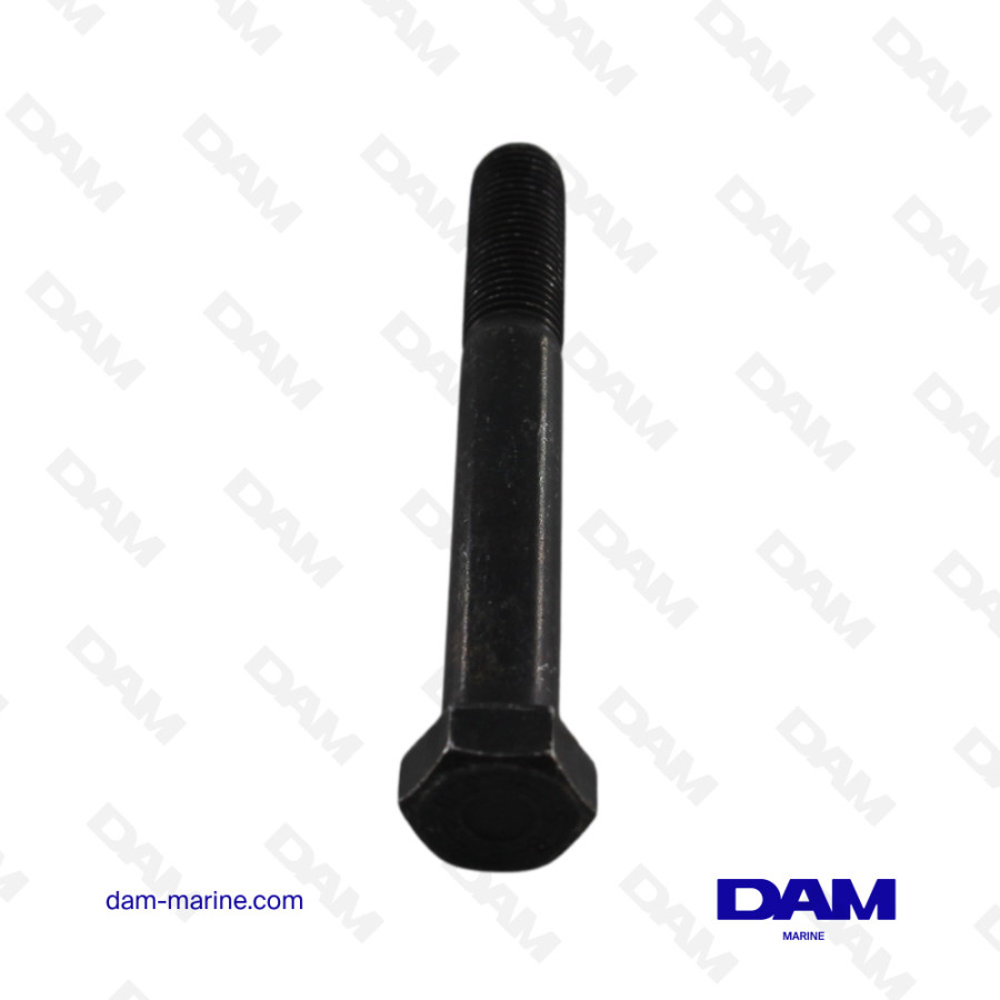 VOLVO SCREW - 955701