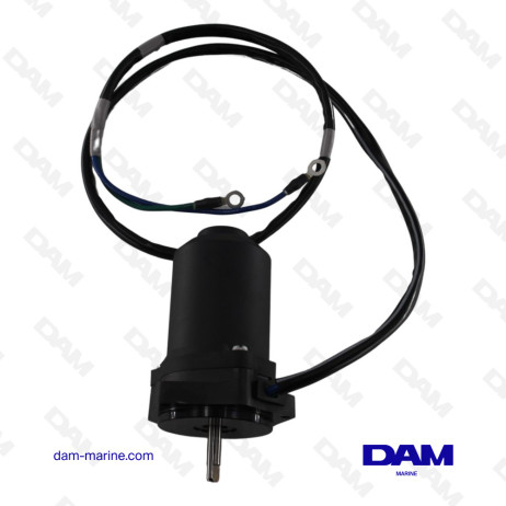 MOTEUR DE TRIM YAMAHA - 6CJ-43880-13