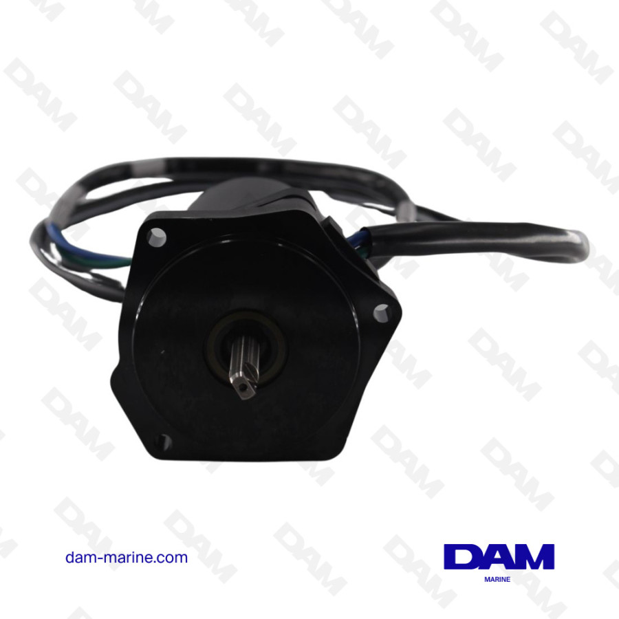 YAMAHA TRIM MOTOR - 6CJ-43880-13