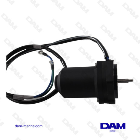 YAMAHA TRIM MOTOR - 6CJ-43880-13