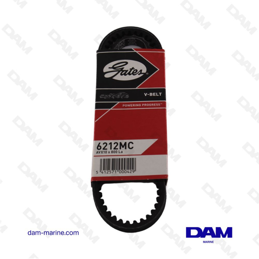 AV10 X 800MM V-BELT