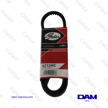 AV10 X 825MM V-BELT