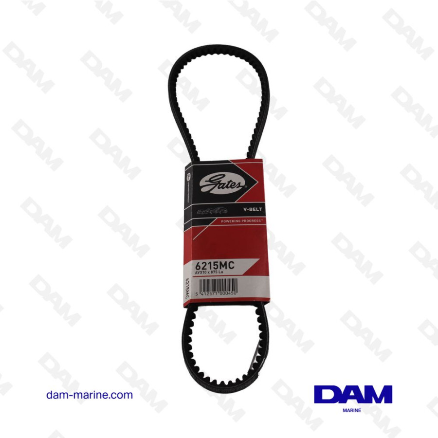 V-BELT AV10 X 875MM