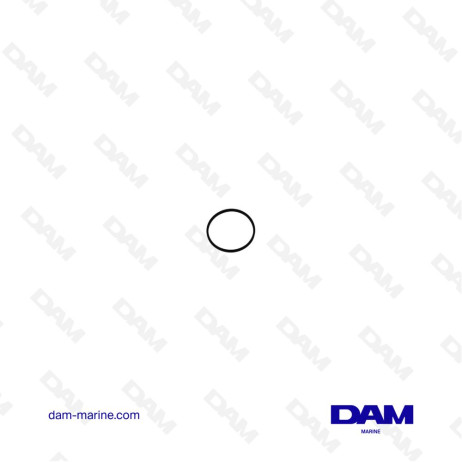 MERCURY FUEL FILTER O-RING 25-897536