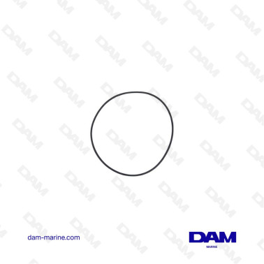 VOLVO O-RING - 925263