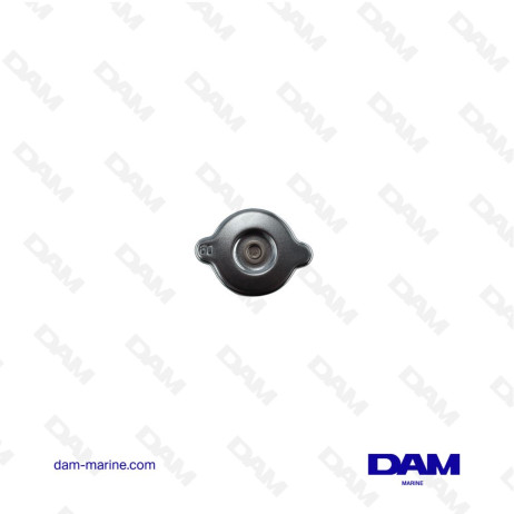 YANMAR 60MM EXCHANGER PLUG