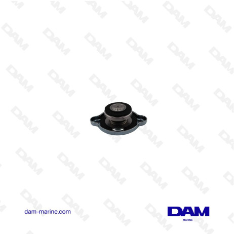 BOUCHON ECHANGEUR YANMAR 60MM