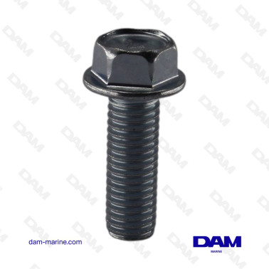 SCREW YANMAR M10X30 - 26106-100302