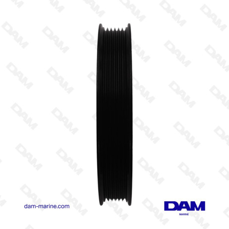 PULEGGIA DELLA POMPA DELL'ACQUA SERPENTINE MERCRUISER