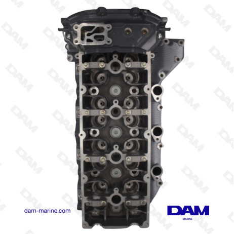 SUZUKI DF150 - 175 CULATA DE CILINDRO 11101-96J10