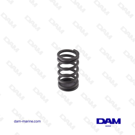 SUZUKI DF150 - 300 VALVE SPRING 12921-93J11