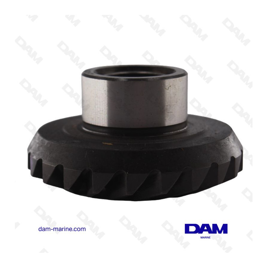 PIGNON MERCRUISER 43-859101T2