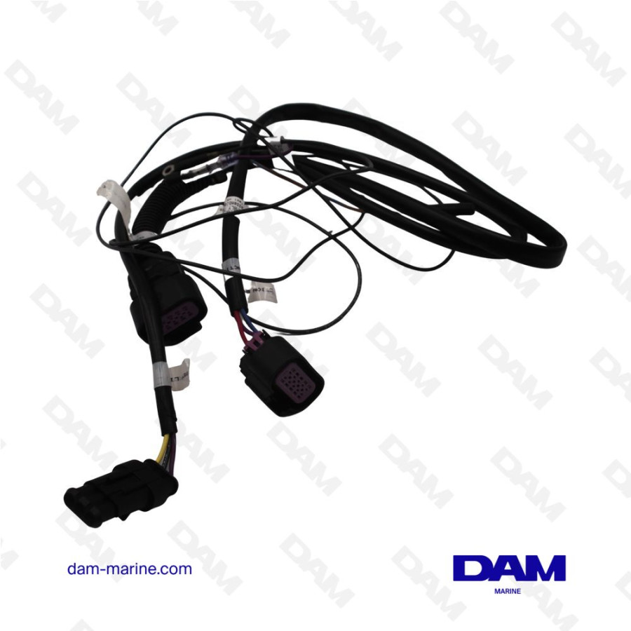 MONITEUR KIT SC1000 79-879896K21