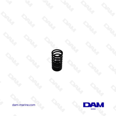 MOLLA VALVOLA INTERNA YANMAR 124617-11130