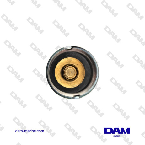 TAPÓN DEL INTERCAMBIADOR DE TEMPERATURA PERKINS 4108